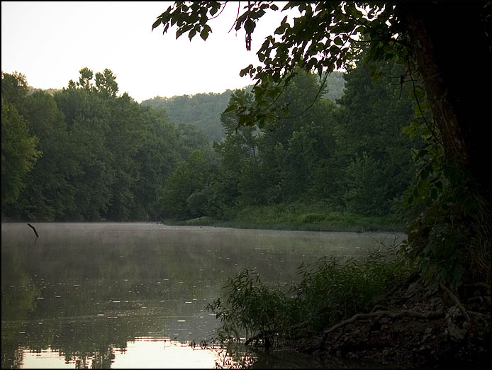Misty morning river