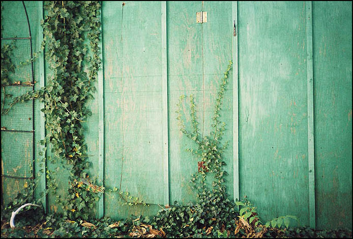 Secret door