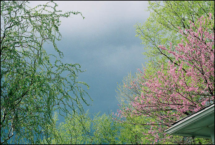 Spring storm