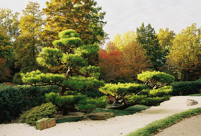 Japanese Garden