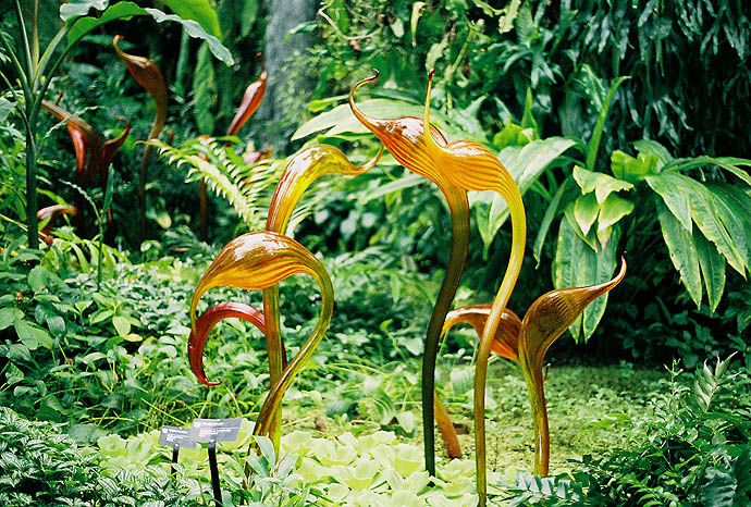 Chihuly