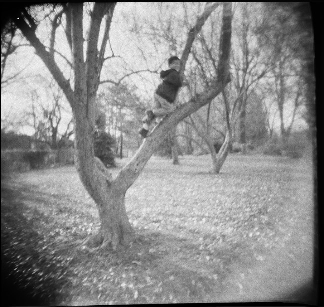 Monkey boy