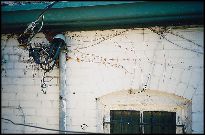 Nest