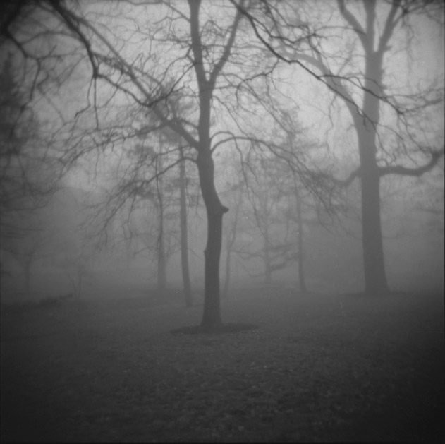 Foggy Peace Park