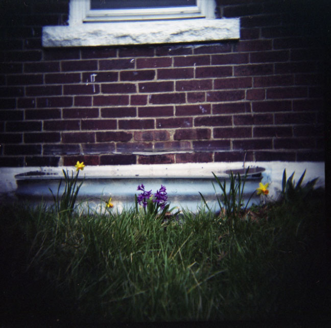 Signs of Spring
