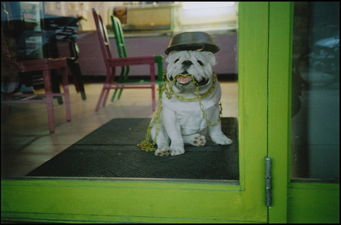 Sparky